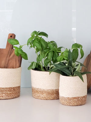 Savar Bin (Set of 3)