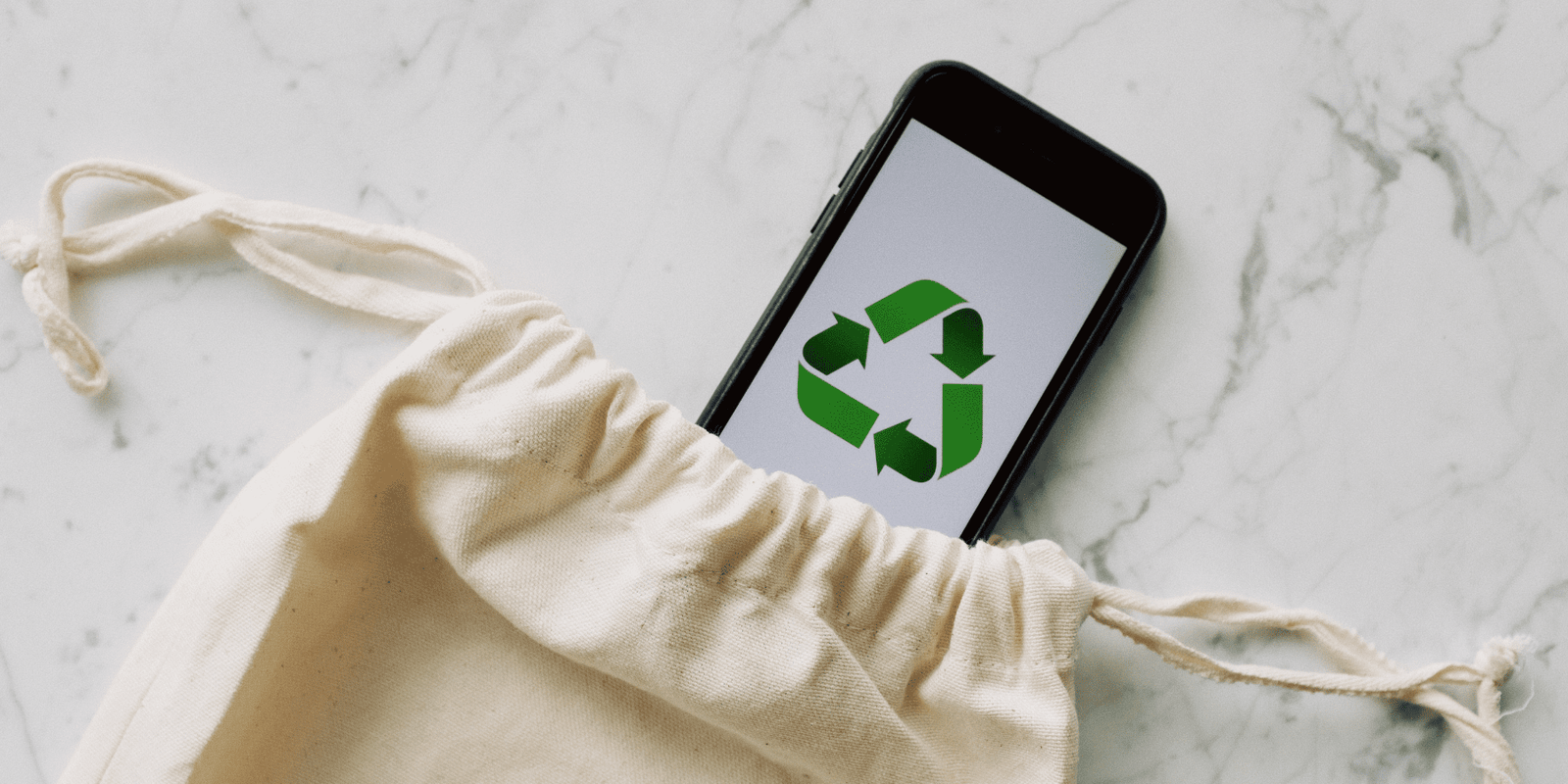 6 Sustainability Tips for Your Garden