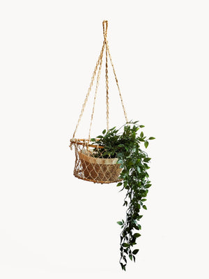Lifestyle Details - Jhuri Single Hanging Planter Basket with Plant