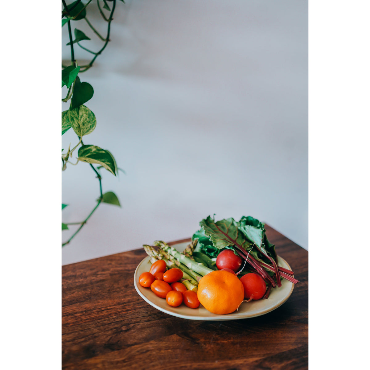 Artisan Round Plate Set