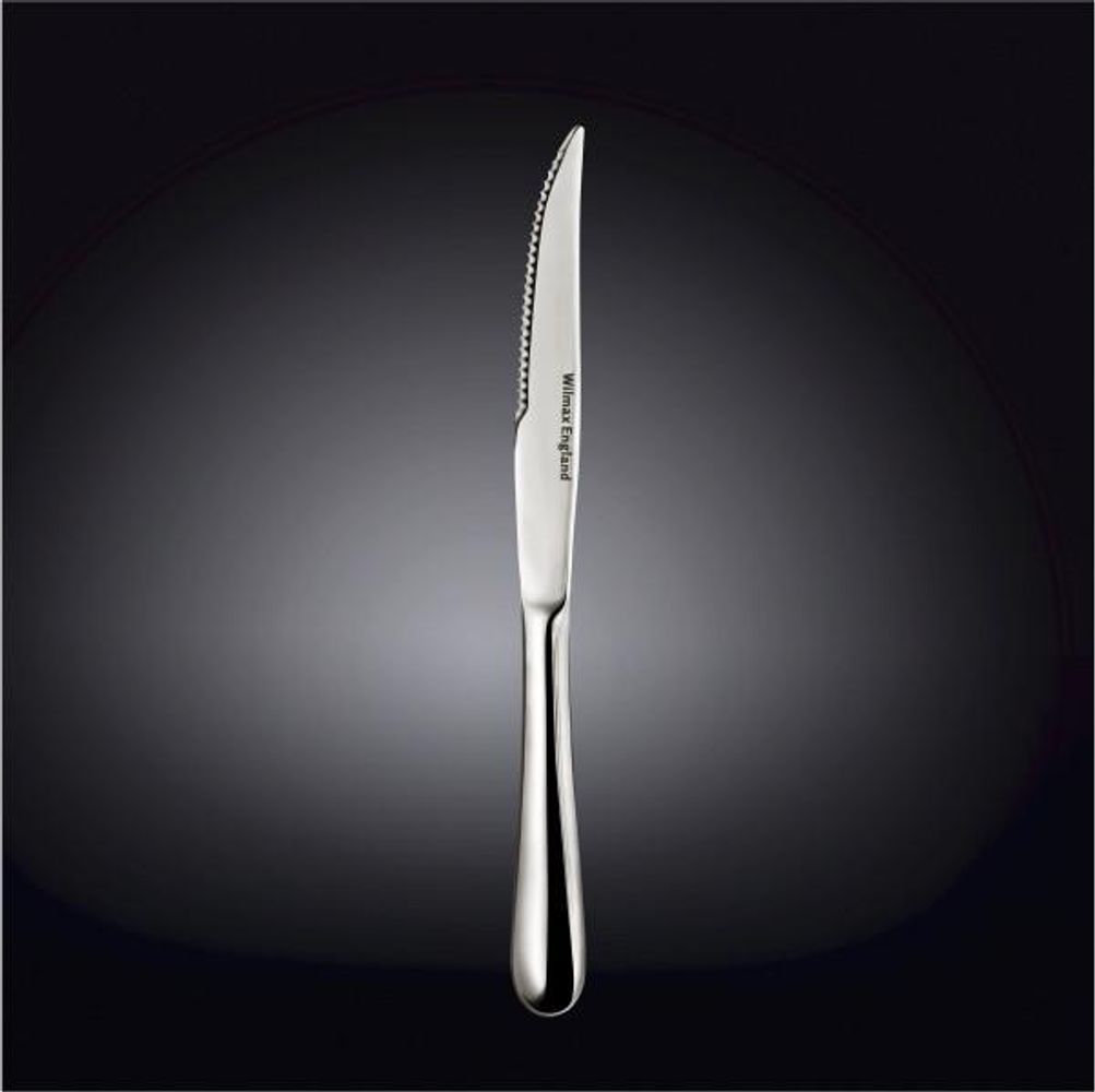 High Polish Stainless Steel Steak Knife 9.25" | 23.5 Cm | Set Of 6