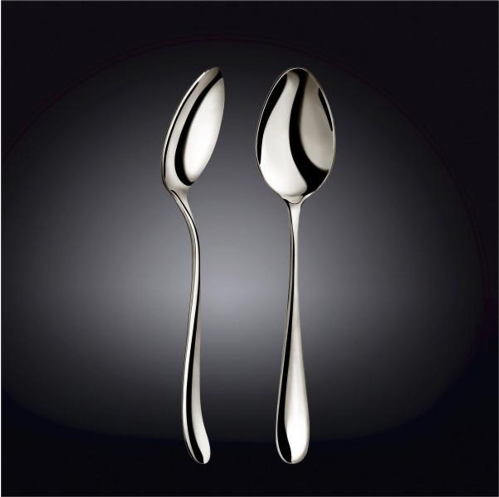 High Polish Stainless Steel Serving Spoon 9.25" | 23.5 cm