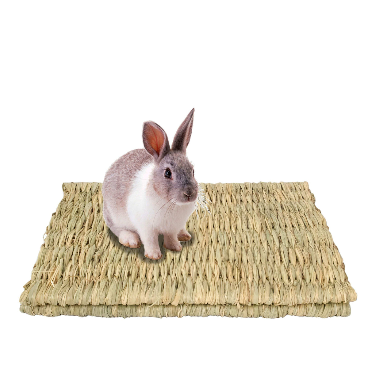 Seagrass Pet Mats