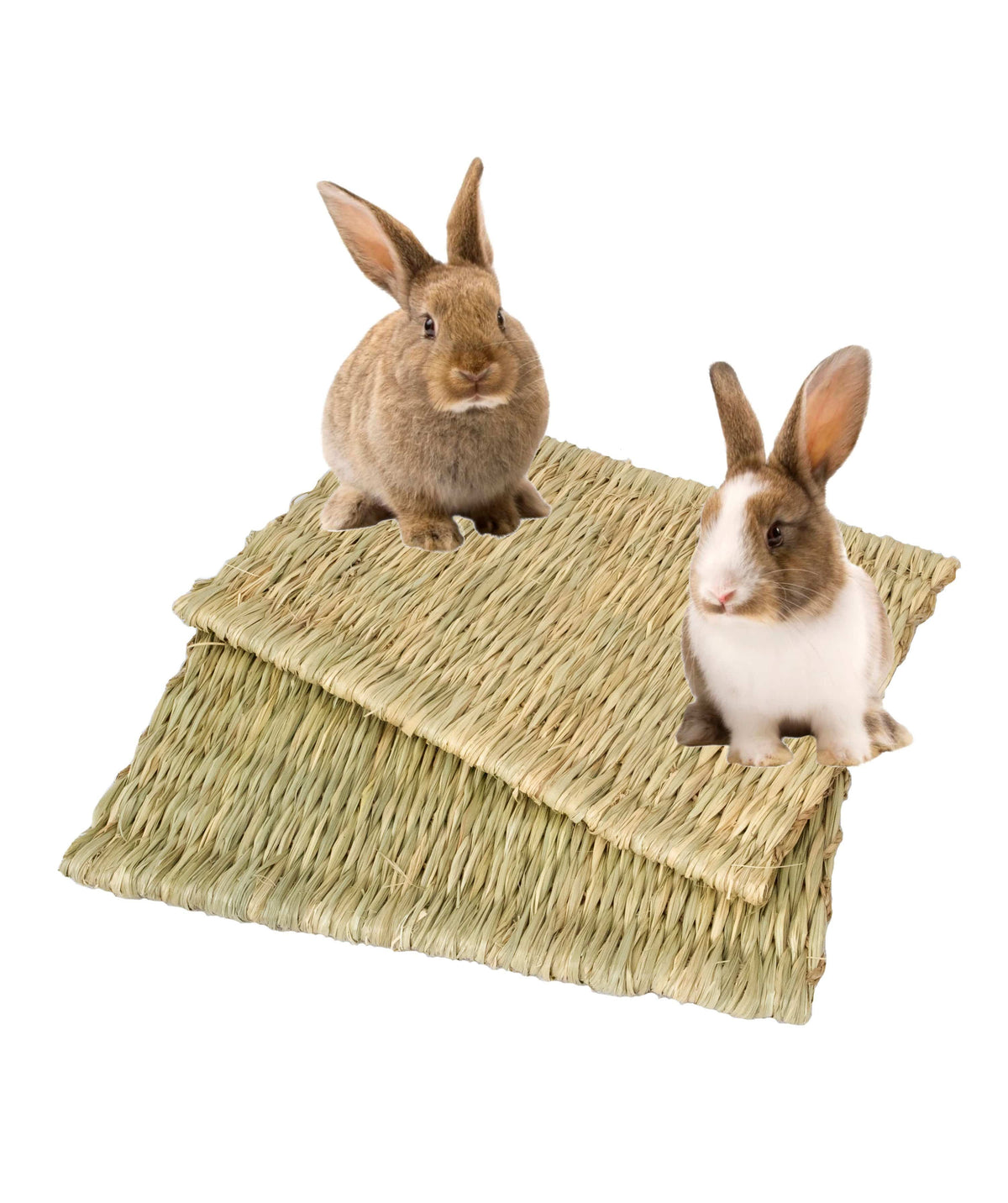 Seagrass Pet Mats