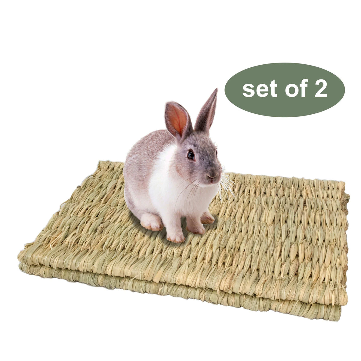 Seagrass Pet Mats