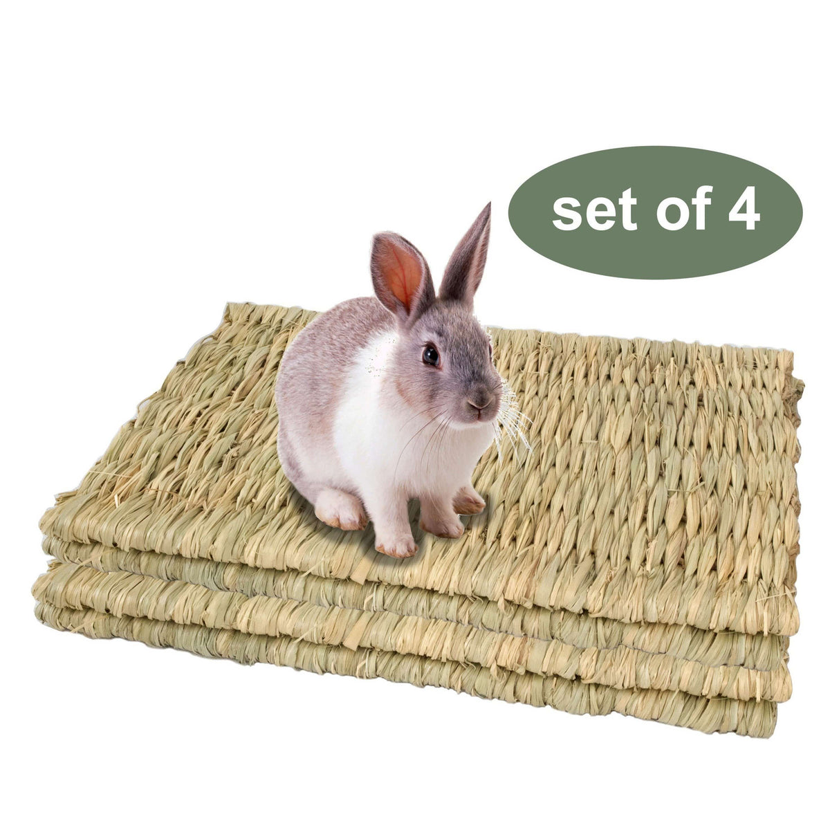Seagrass Pet Mats