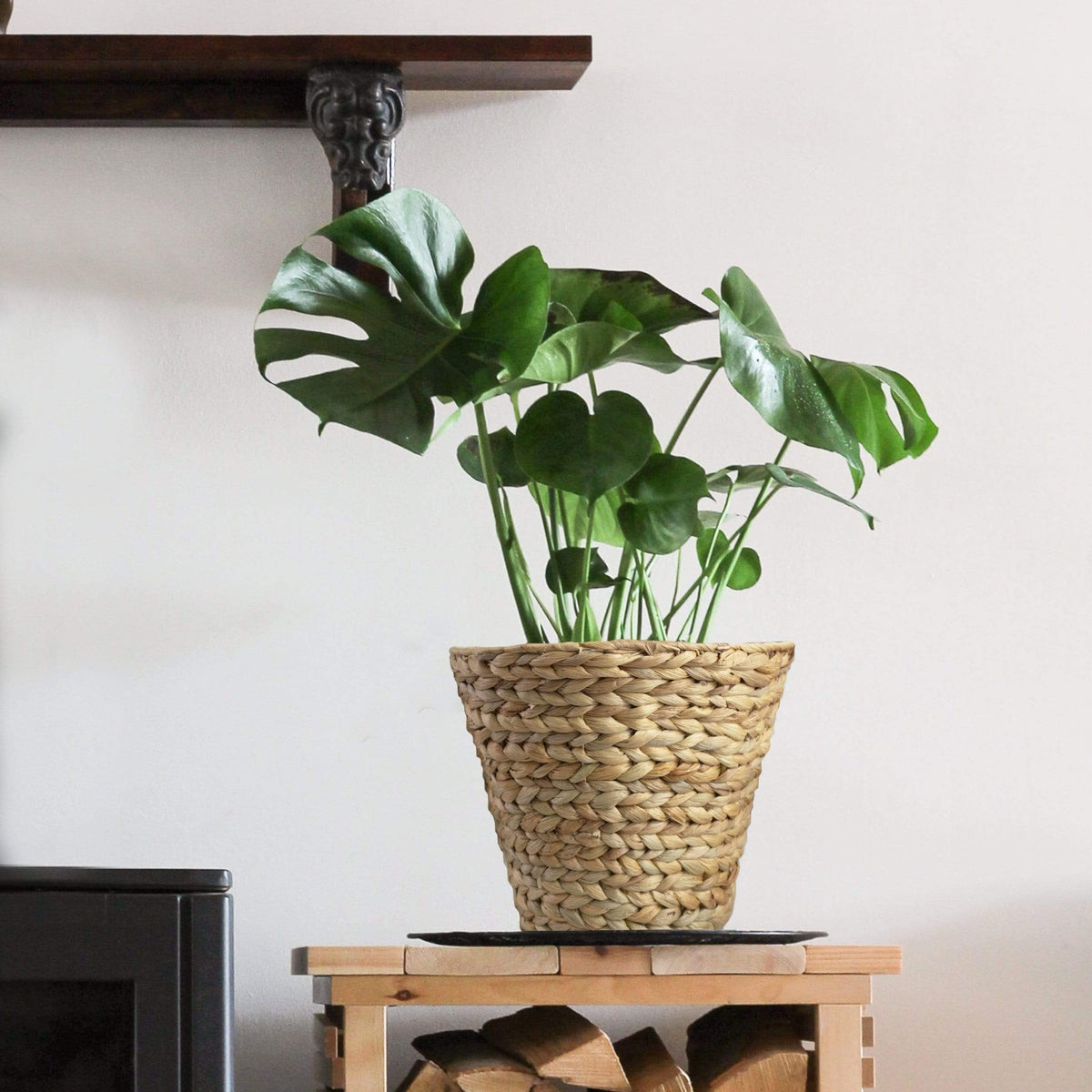 Wicker Hand-Woven Waste Basket